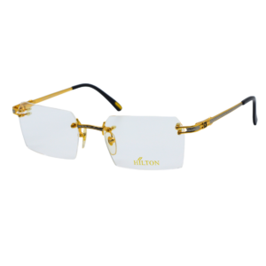 HILTON MONACO 305R 1