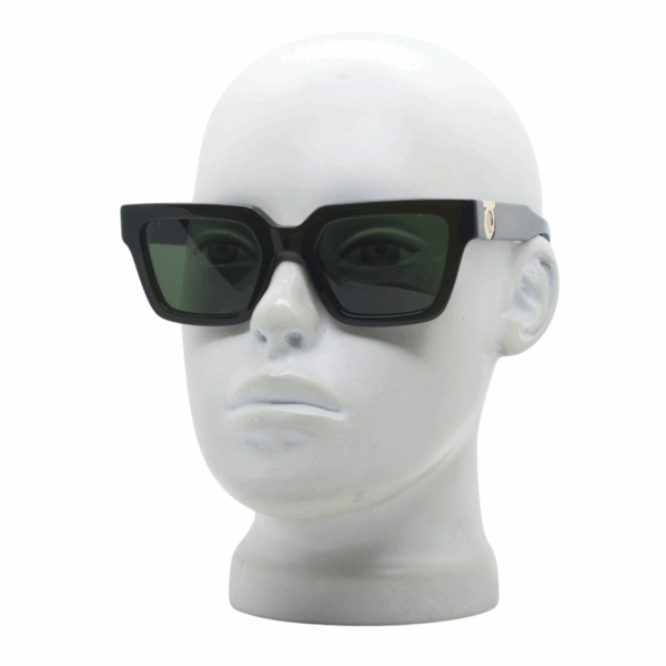 SALVATORE FERRAGAMO SF2066S 302