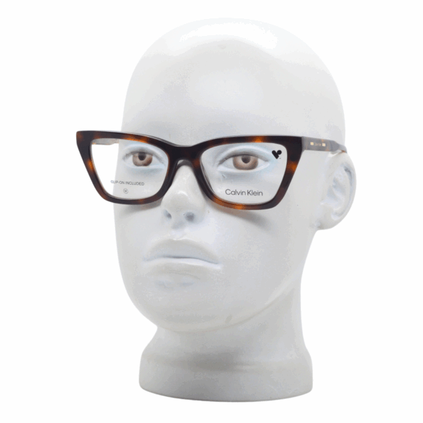 CALVIN KLEIN CK25531 MAG SET 242 ( CLIP ON )