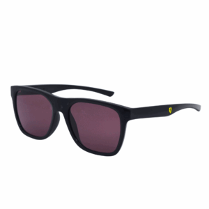 FERRARI FZ6013D 501/1E