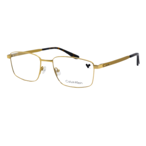 CALVIN KLEIN CK21139TLBI 717