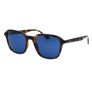 RAY BAN RB4465I 710/80