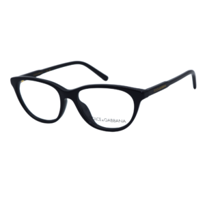 DOLCE GABBANA DX3002 501