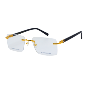 TOMMY HILFIGER TH6301 C4
