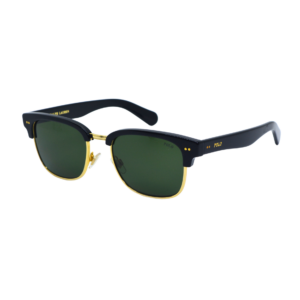 POLO RALPH LAUREN PH4202 5001/71
